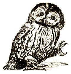 Доктор Айболит (с илл.) i_058.png