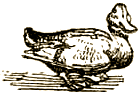 Доктор Айболит (с илл.) i_060.png