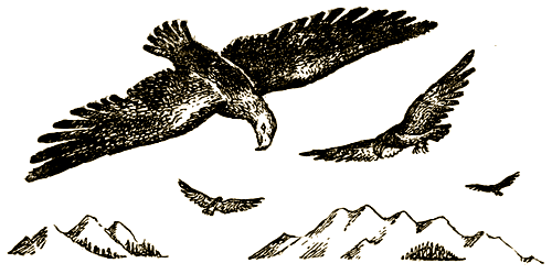 Доктор Айболит (с илл.) i_063.png