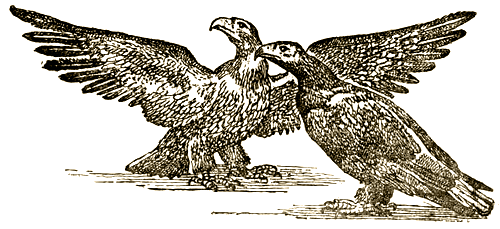 Доктор Айболит (с илл.) i_064.png