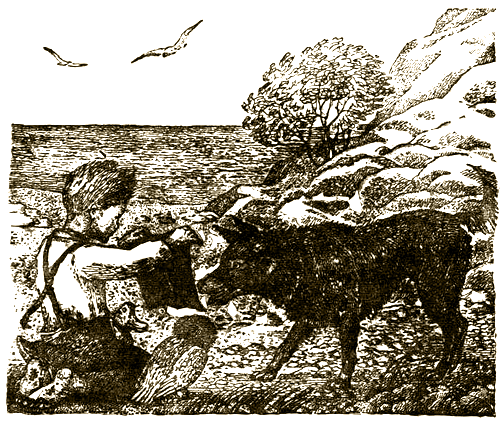 Доктор Айболит (с илл.) i_065.png