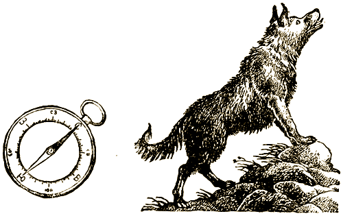 Доктор Айболит (с илл.) i_066.png