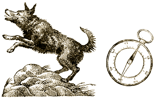 Доктор Айболит (с илл.) i_069.png