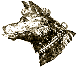 Доктор Айболит (с илл.) i_074.png