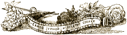 Доктор Айболит (с илл.) i_076.png