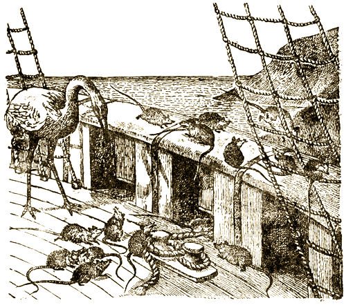 Доктор Айболит (с илл.) i_081.png