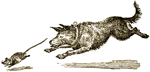 Доктор Айболит (с илл.) i_082.png