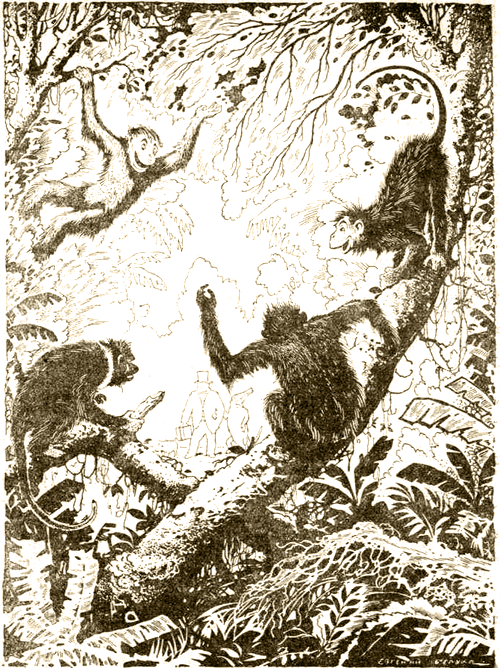 Доктор Айболит (с илл.) i_011.png