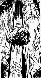 Колониальная служба (сборник) i_007.png