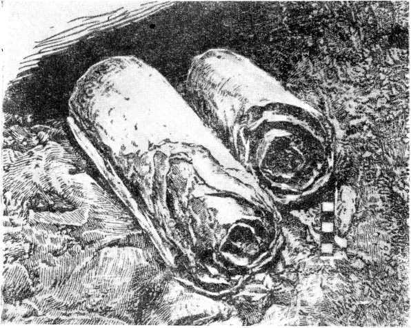 Священные книги и кто их написал i_008.jpg