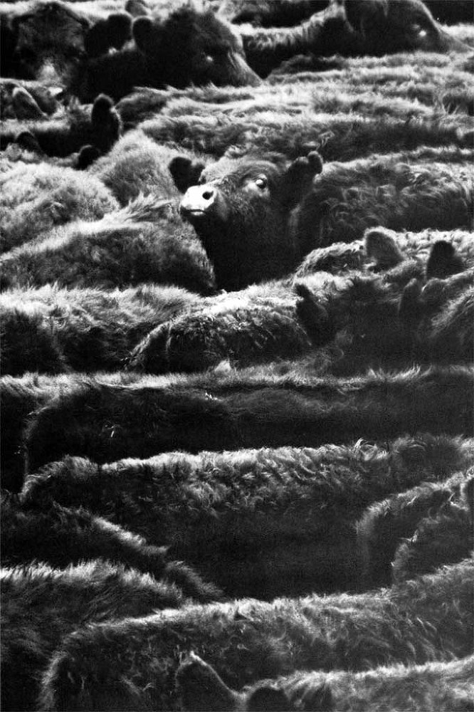 Глаза фотографа i_012.jpg