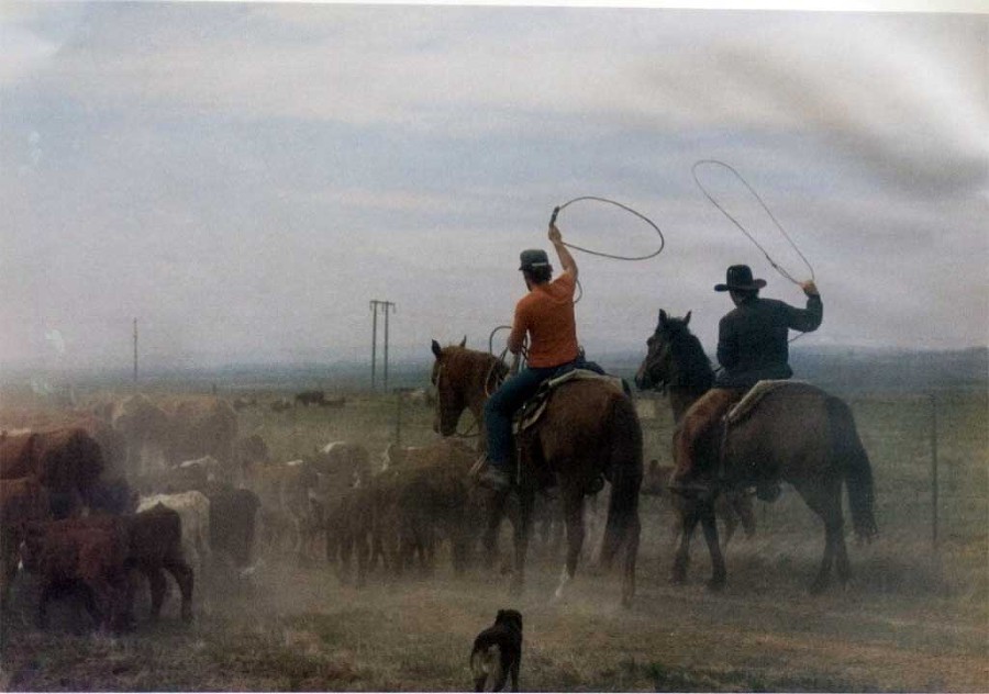 Глаза фотографа i_016.jpg