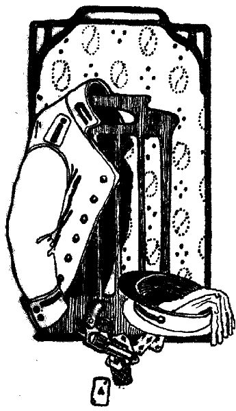Барышня Эльза i_005.png