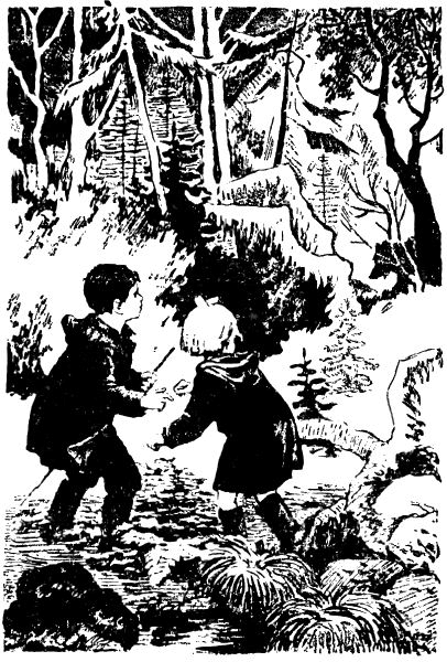Солнечная Северяния i_019.png