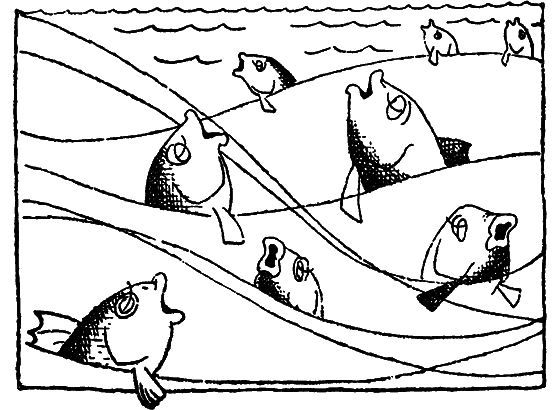 Гомо акватикус (1-е изд.) i_019.png