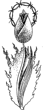  Лагерная живопись, уголовный жаргон i_016.png