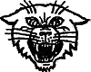  Паханы, авторитеты, воры в законе i_006.png