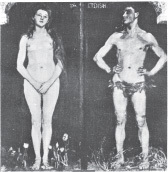 Искусство видеть i_046.jpg