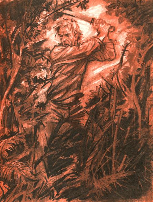 Лисья нора i_009.jpg