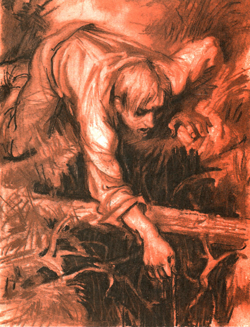 Лисья нора i_011.jpg
