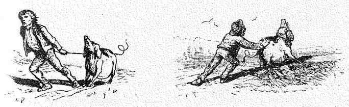 Сказки i_017.jpg