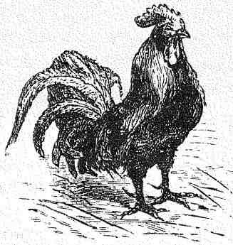 Сказки i_024.jpg