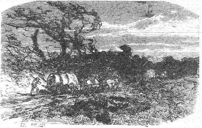 Сказки i_159.jpg
