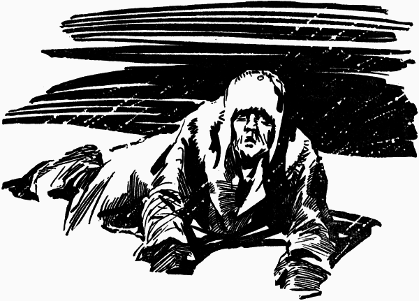  Журавли и цапли . Повести и рассказы i_023.png