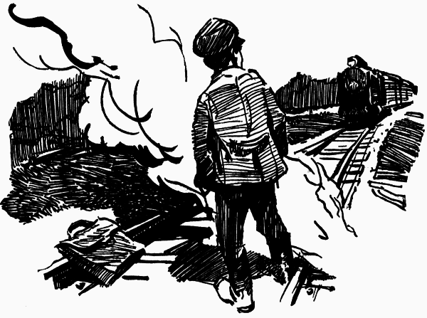  Журавли и цапли . Повести и рассказы i_025.png