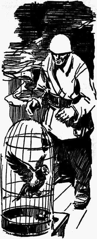Журавли и цапли . Повести и рассказы i_026.png