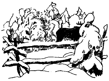 Улица становится нашей i_029.png
