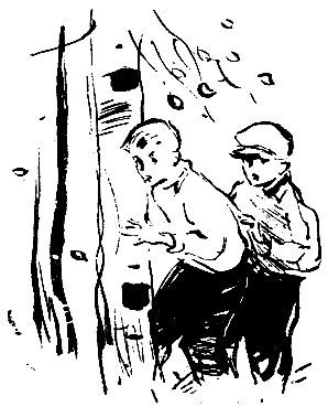 Удивительное похищение (сборник) pic_9.jpg