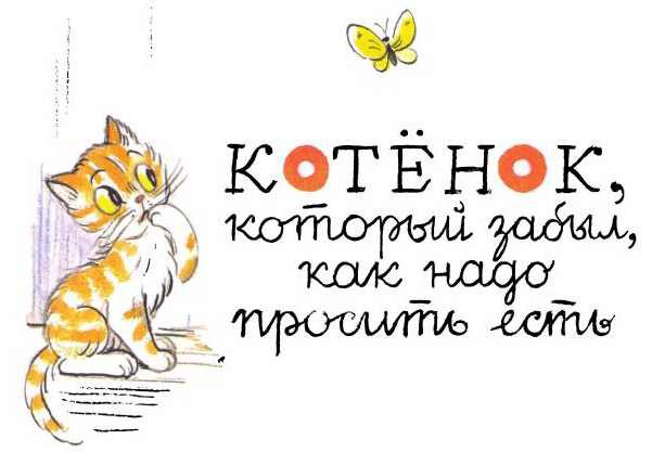 Котенок, который забыл, как надо просить есть (илл. В. Сутеева) i_008.jpg