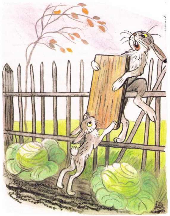 Котенок, который забыл, как надо просить есть (илл. В. Сутеева) i_017.jpg