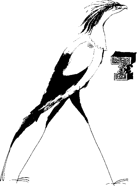КОАПП! КОАПП! КОАПП! Репортаж о событиях невероятных. Вып. 7 i_001.png