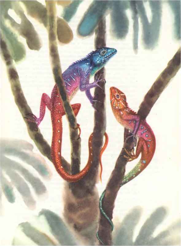 КОАПП! КОАПП! КОАПП! Репортаж о событиях невероятных. Вып. 7 i_074.jpg