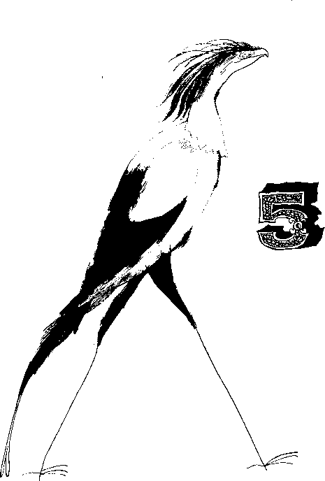 КОАПП! КОАПП! КОАПП! Репортаж о событиях невероятных. Вып. 5 i_001.png