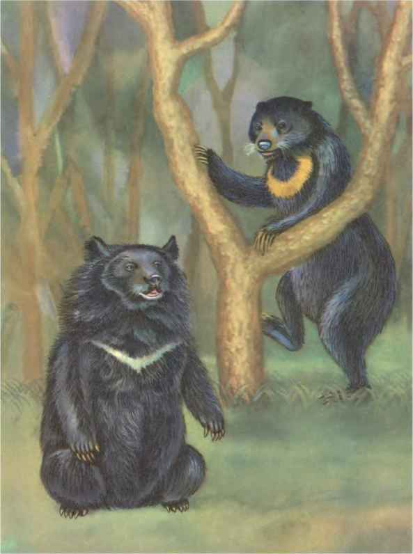 Коапп! коапп! коапп! вып. 6. i_020.jpg
