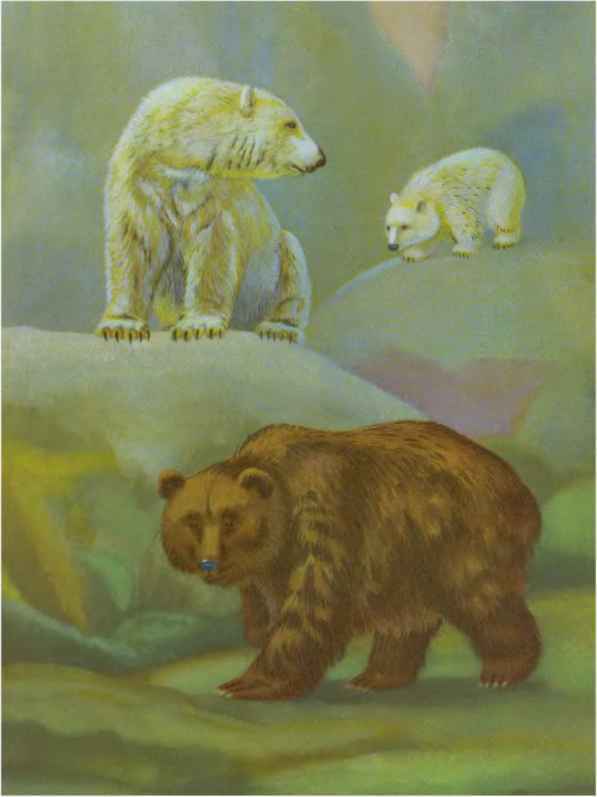 Коапп! коапп! коапп! вып. 6. i_028.jpg