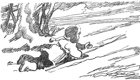 Внук старого Грома i_005.png