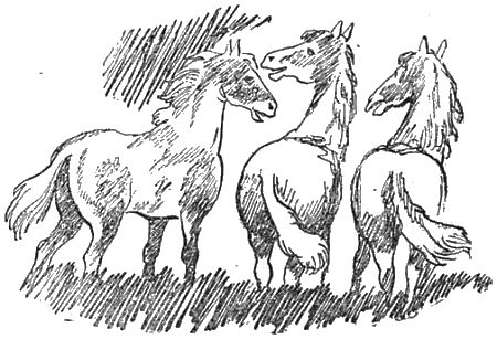 Внук старого Грома i_008.png