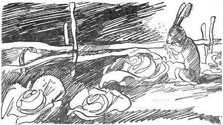 Внук старого Грома i_009.png