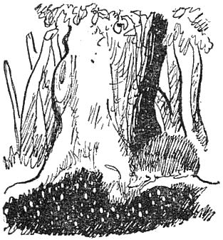 Внук старого Грома i_020.png