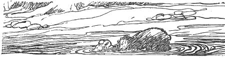 Внук старого Грома i_024.png
