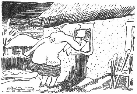 Внук старого Грома i_027.png