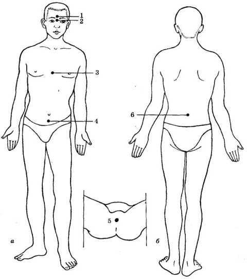 Энциклопедия целебного чая i_011.jpg