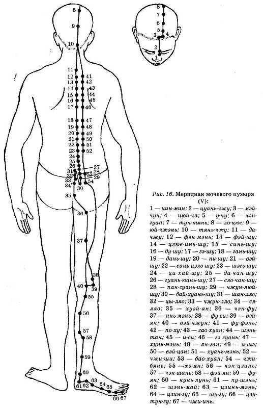 Энциклопедия целебного чая i_019.jpg