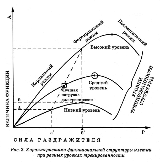 Энциклопедия Амосова. Алгоритм здоровья i_003.png