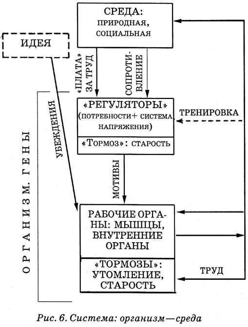 Энциклопедия Амосова. Алгоритм здоровья i_031.png