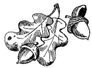 Срібні ковзани i_035.png